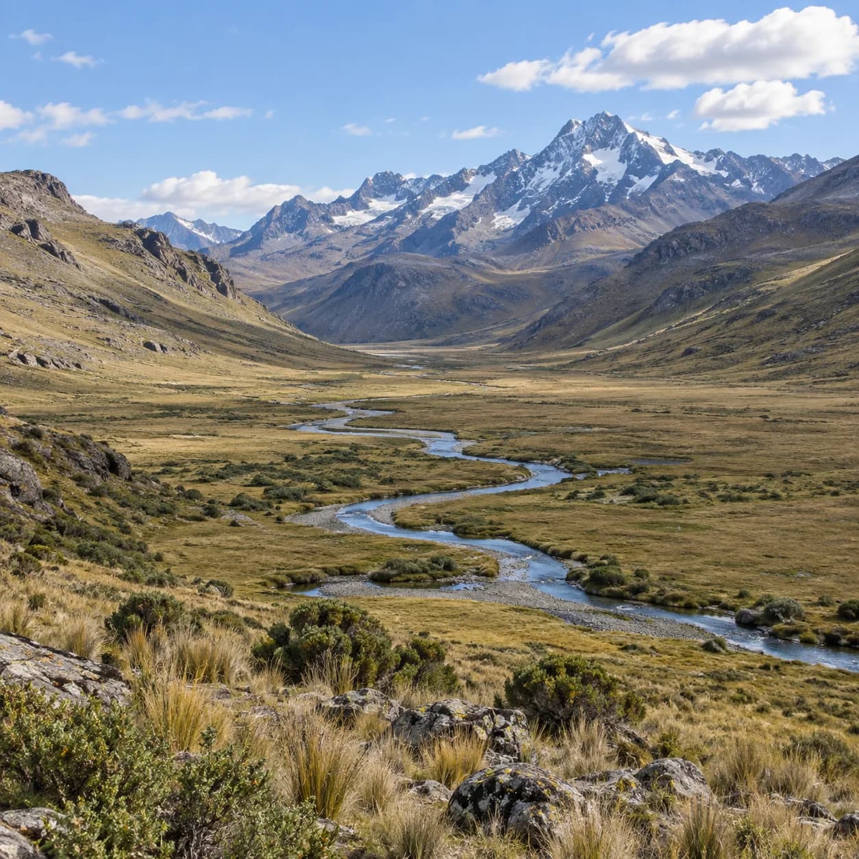 Photo réaliste: Coloriage de la cordillère des Andes : haute vallée