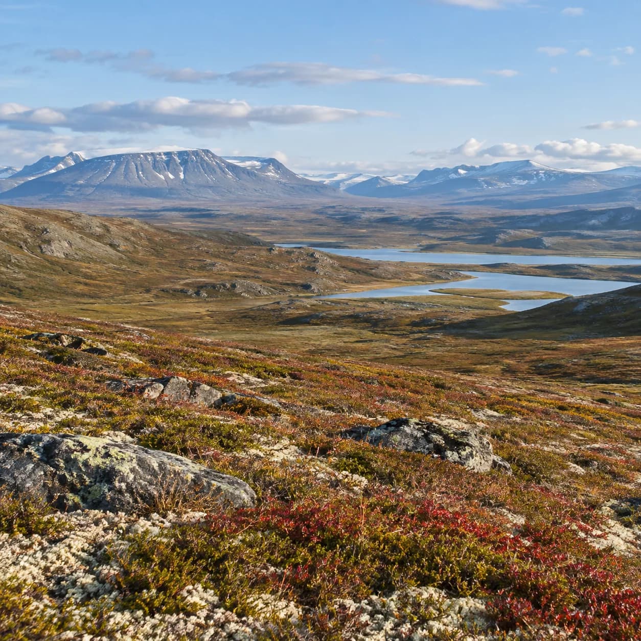 Realistic source: Arctic tundra wide panorama coloring page