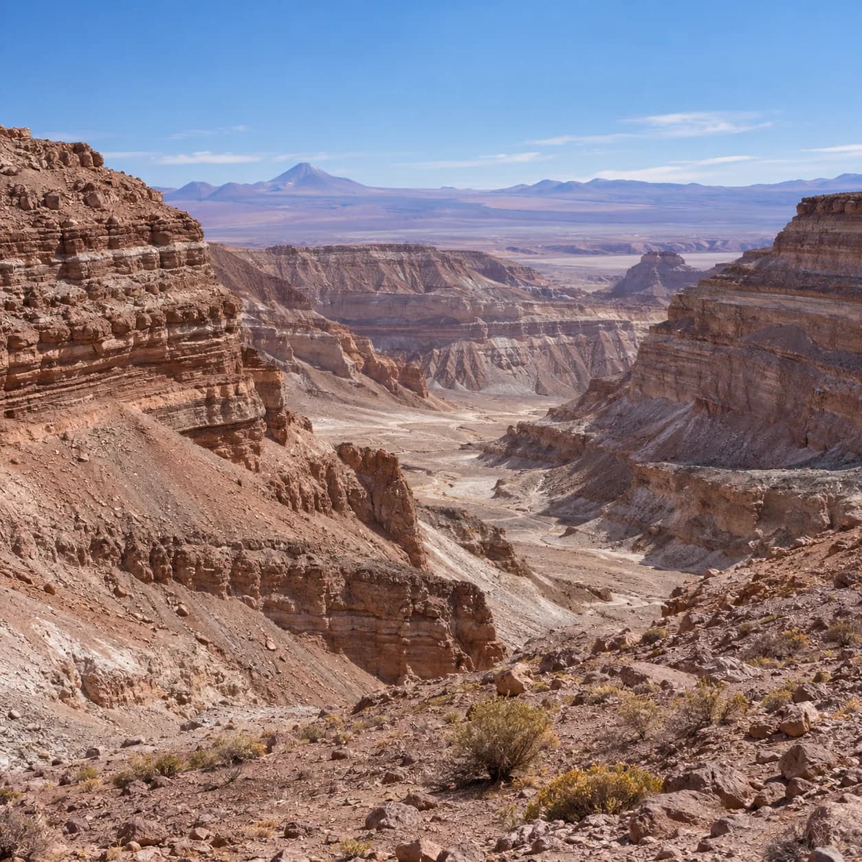 Photo réaliste: Coloriage du désert d'Atacama : canyon stratifié
