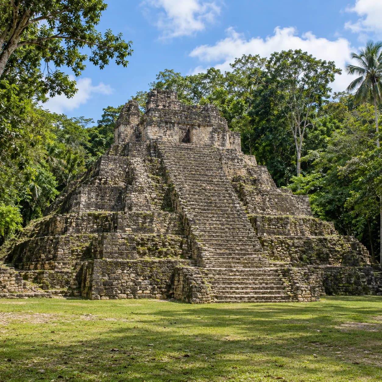 Photo réaliste: Coloriage du Belize : pyramide maya dans la jungle