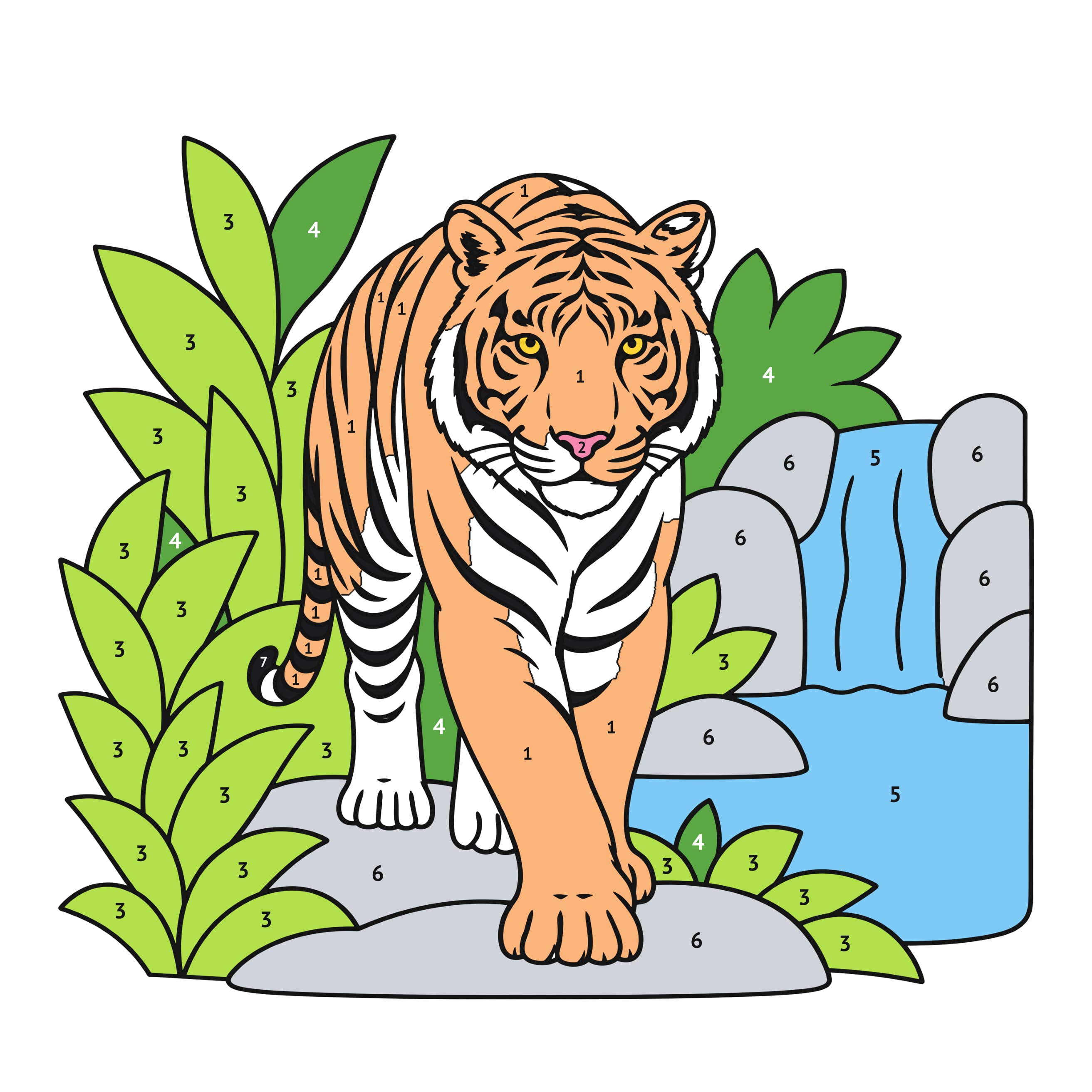 Modelo coloreado: Tigre de Bengala para colorear por números