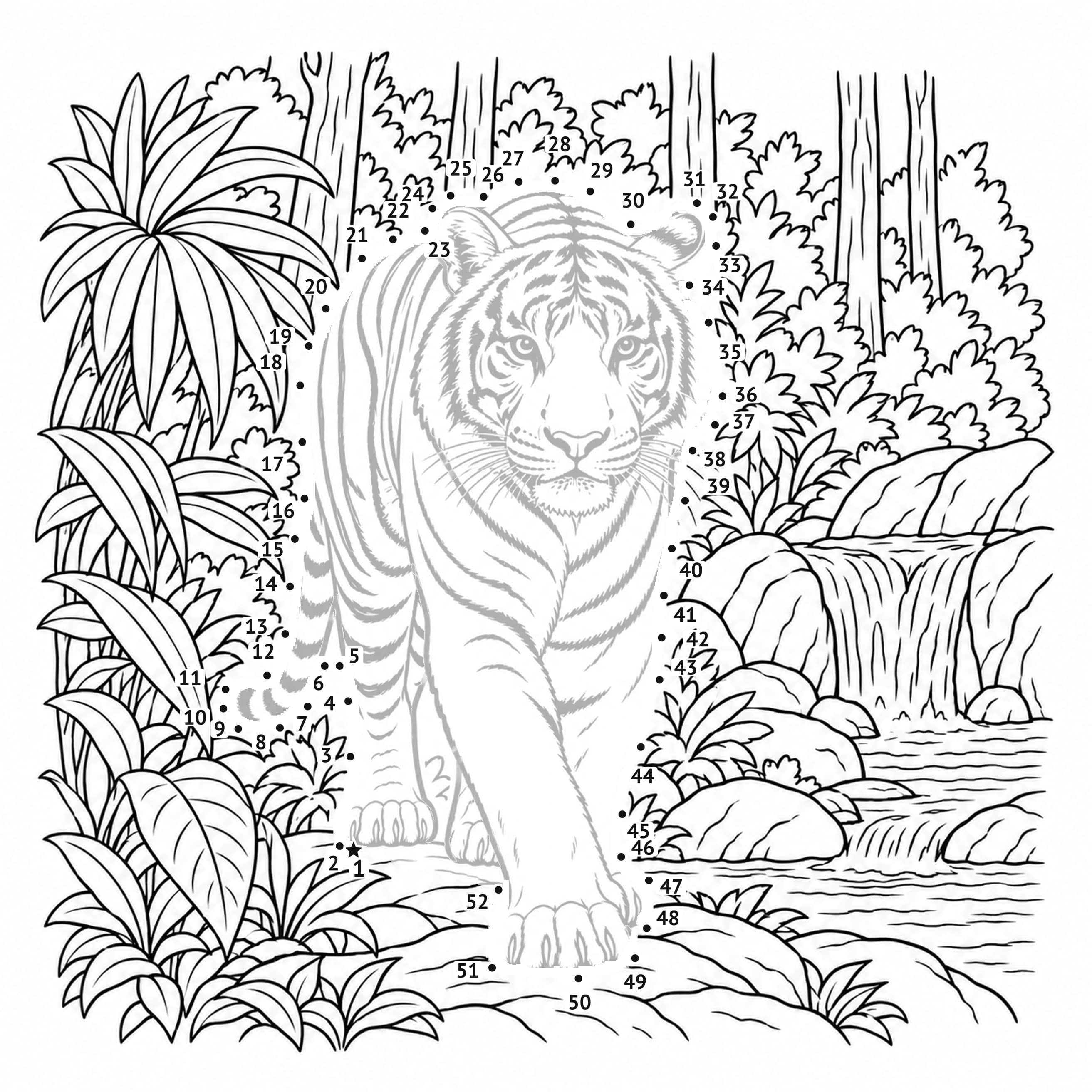 Points à relier: Tigre du Bengale : points à relier à imprimer