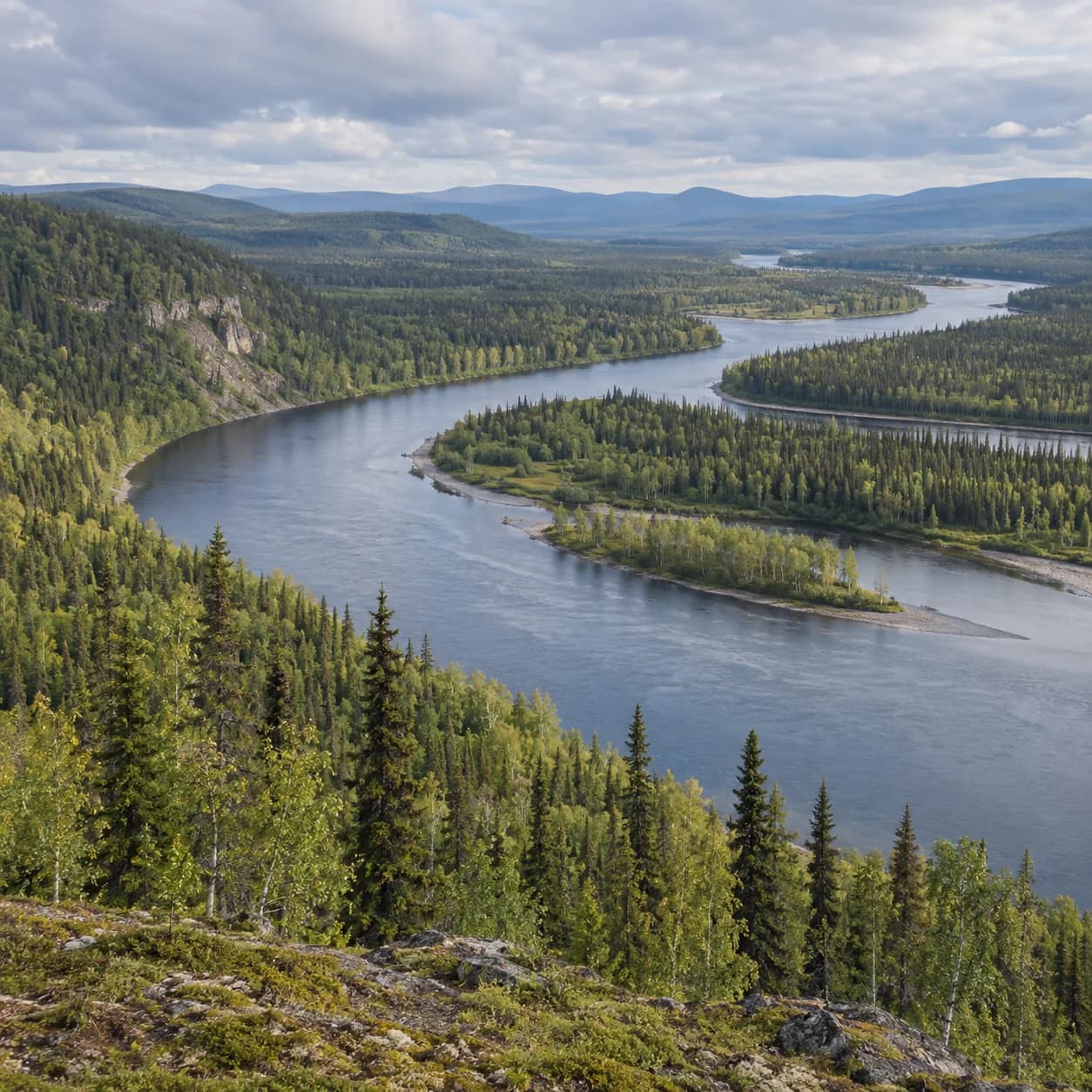 Realistic source: Boreal taiga winding river coloring page