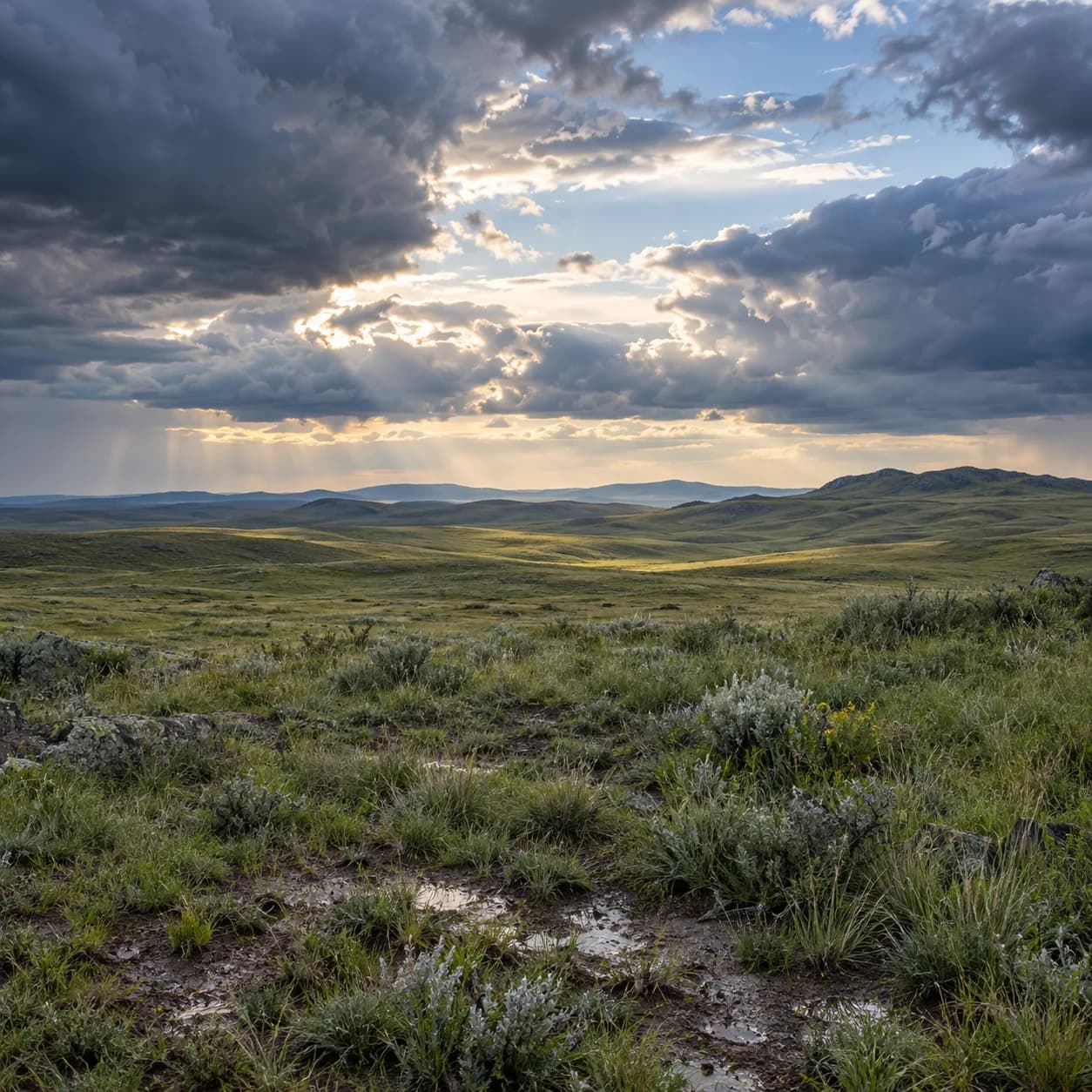 Realistic source: Eurasian steppe clearing storm coloring page