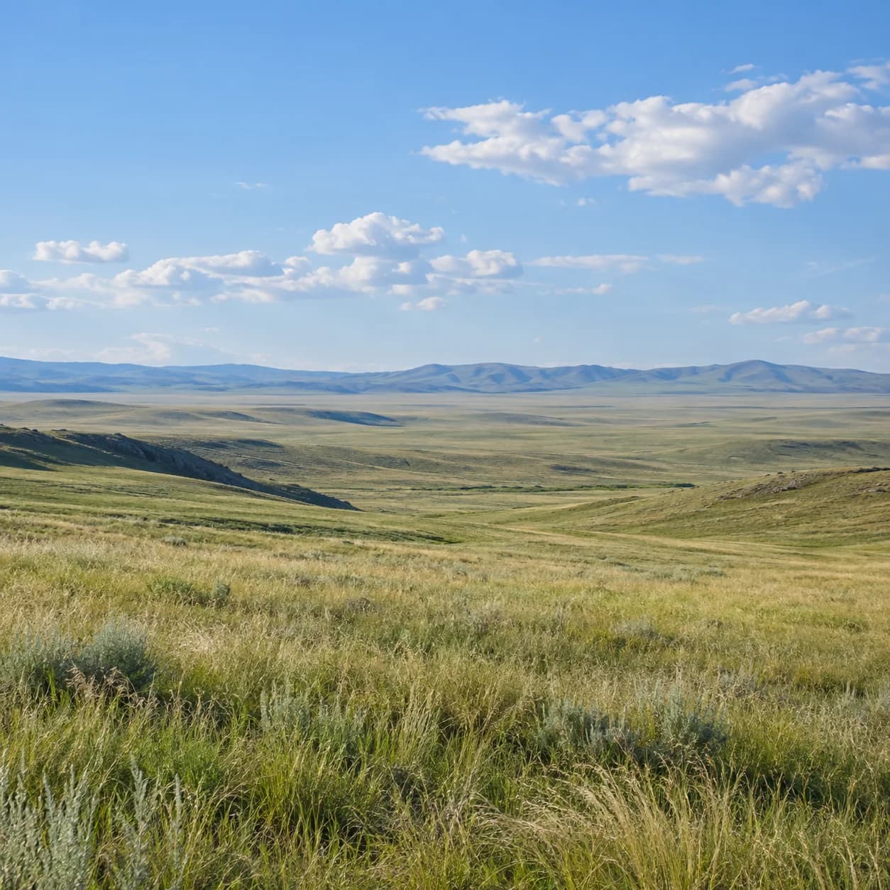 Realistic source: Eurasian steppe wide panorama coloring page
