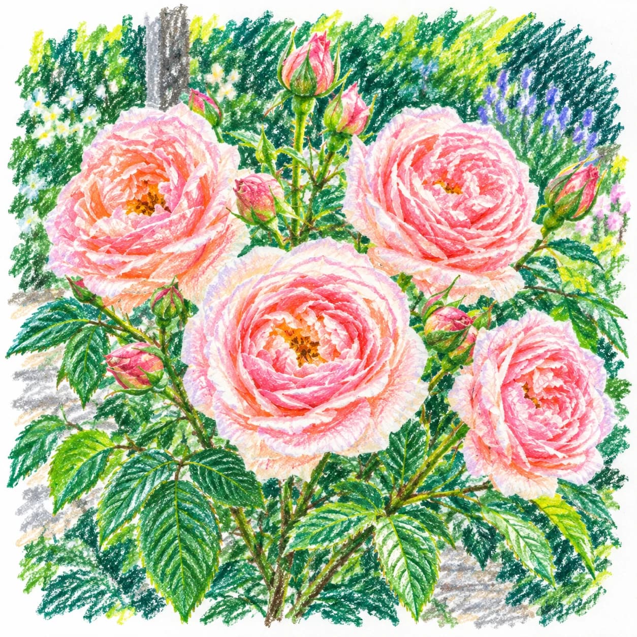 Colored model: Roses coloring page