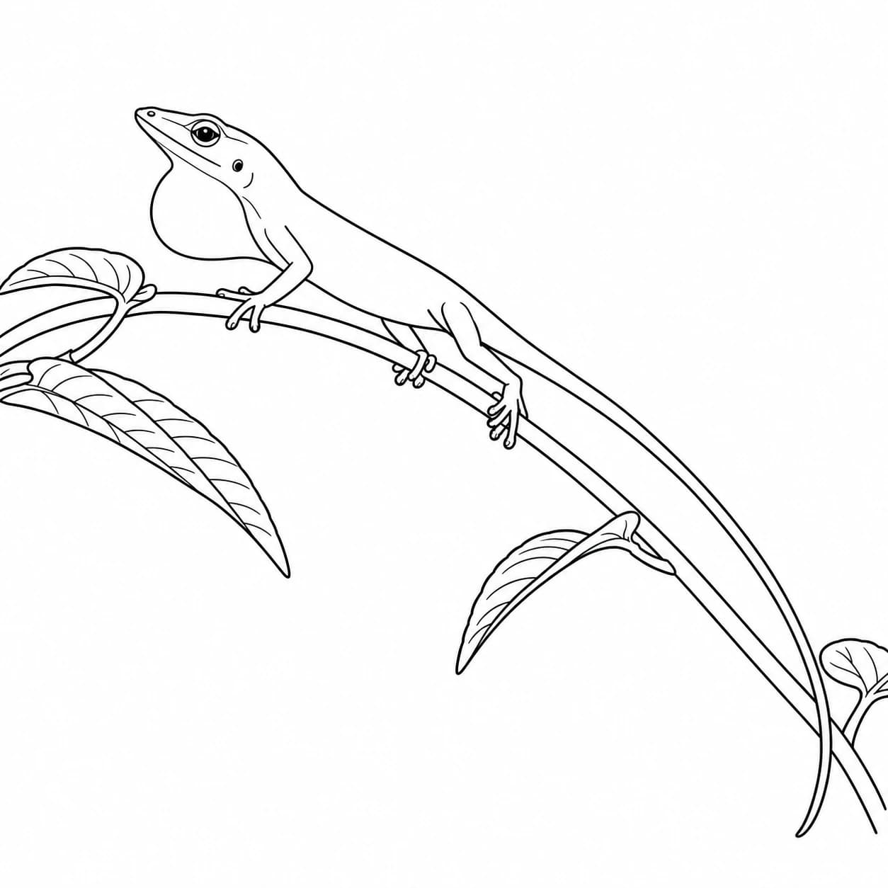 Colorear: Dibujo de anolis verde para colorear