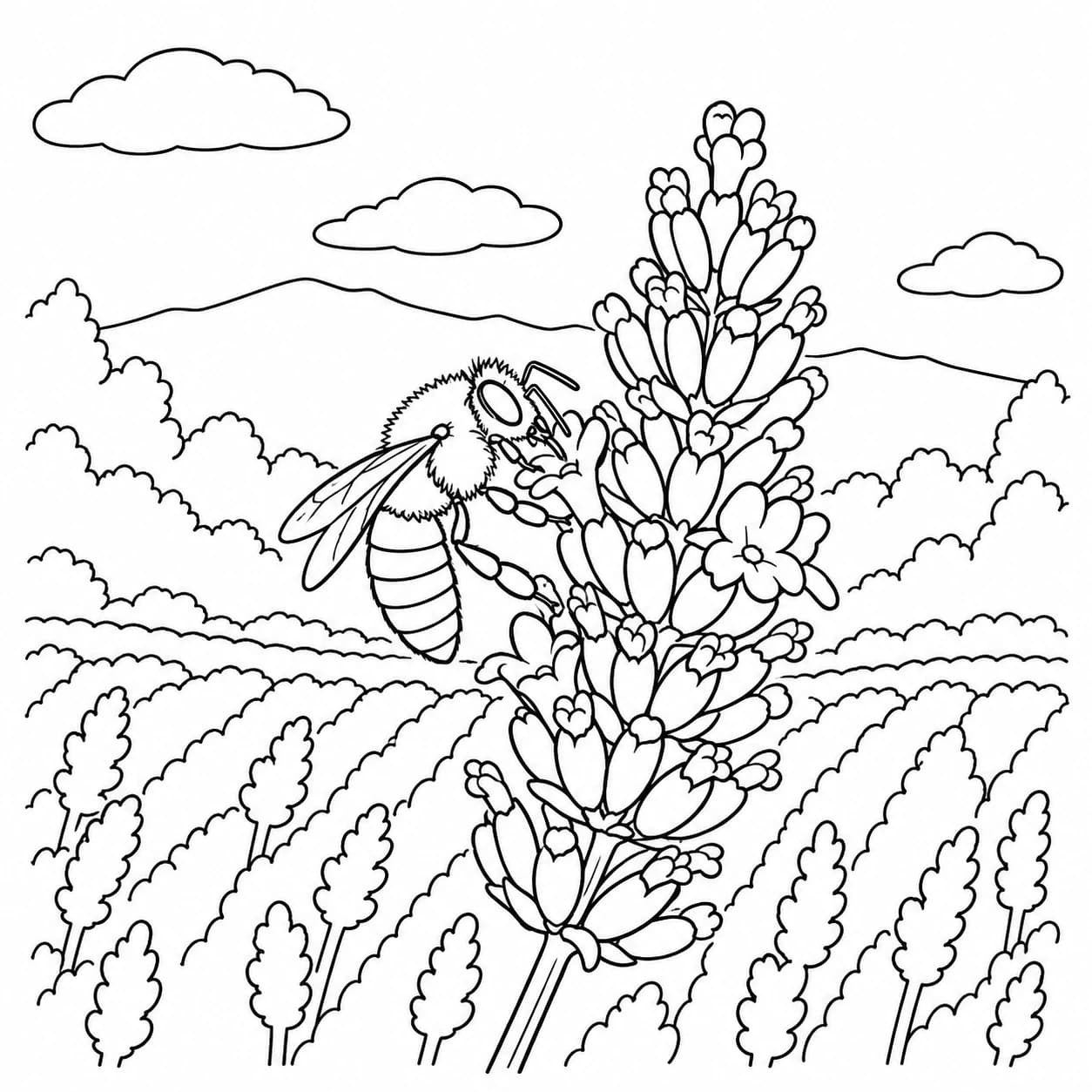Colorear: Dibujo de abeja para colorear