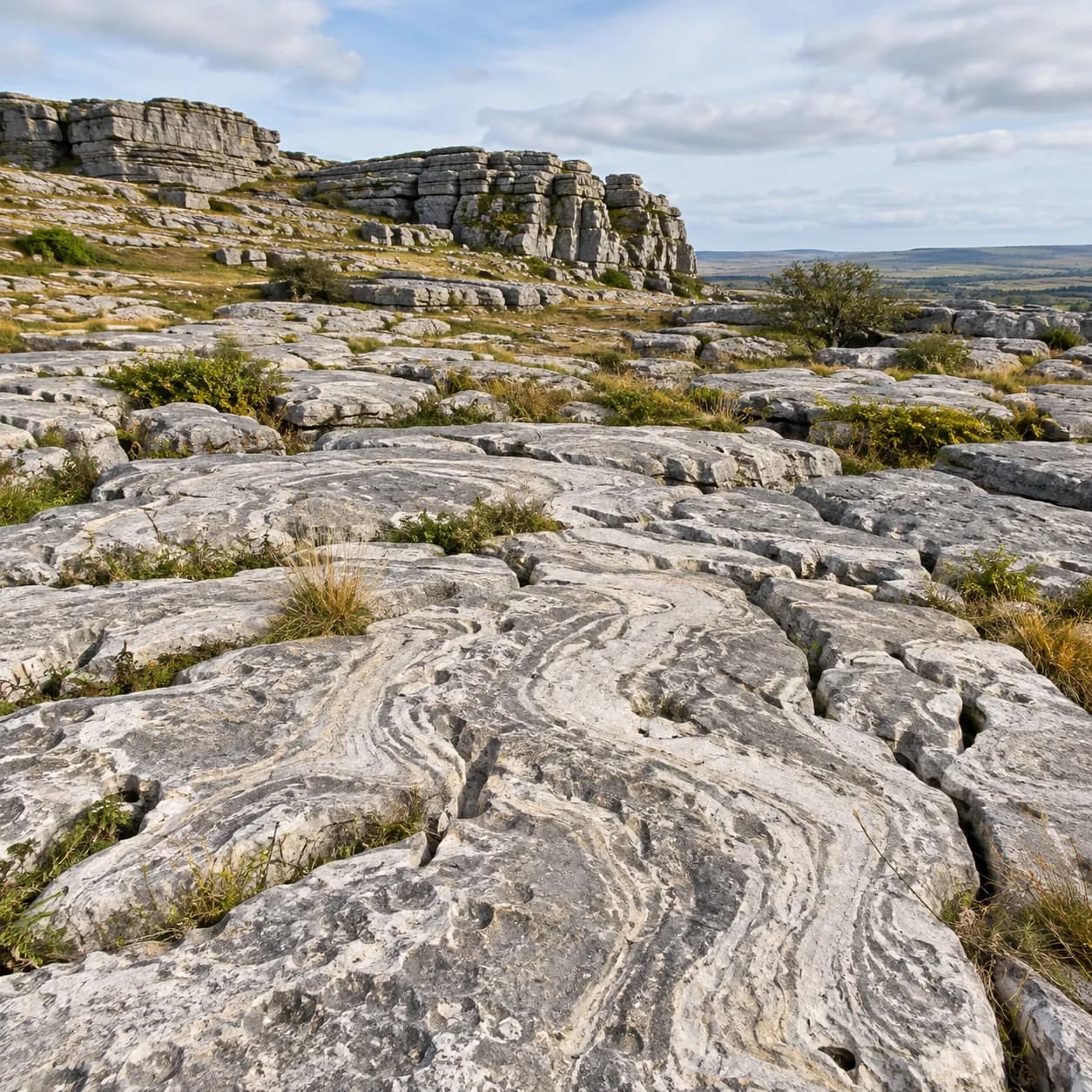 Realistic source: Limestone karst patterned ground coloring page