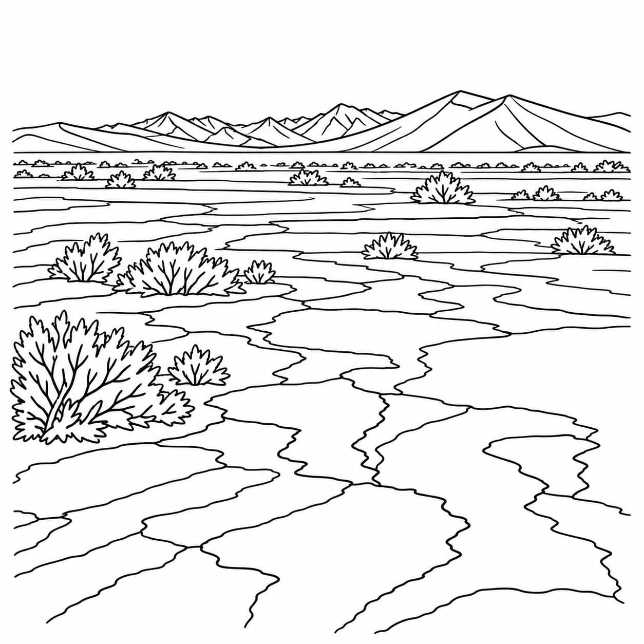 Coloring: Namib Desert patterned ground coloring page