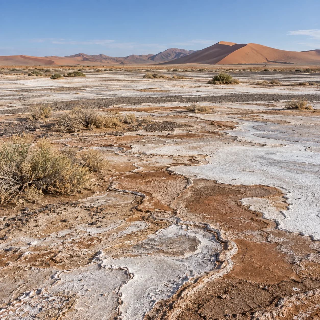 Photo réaliste: Coloriage du désert du Namib : sol aux motifs naturels